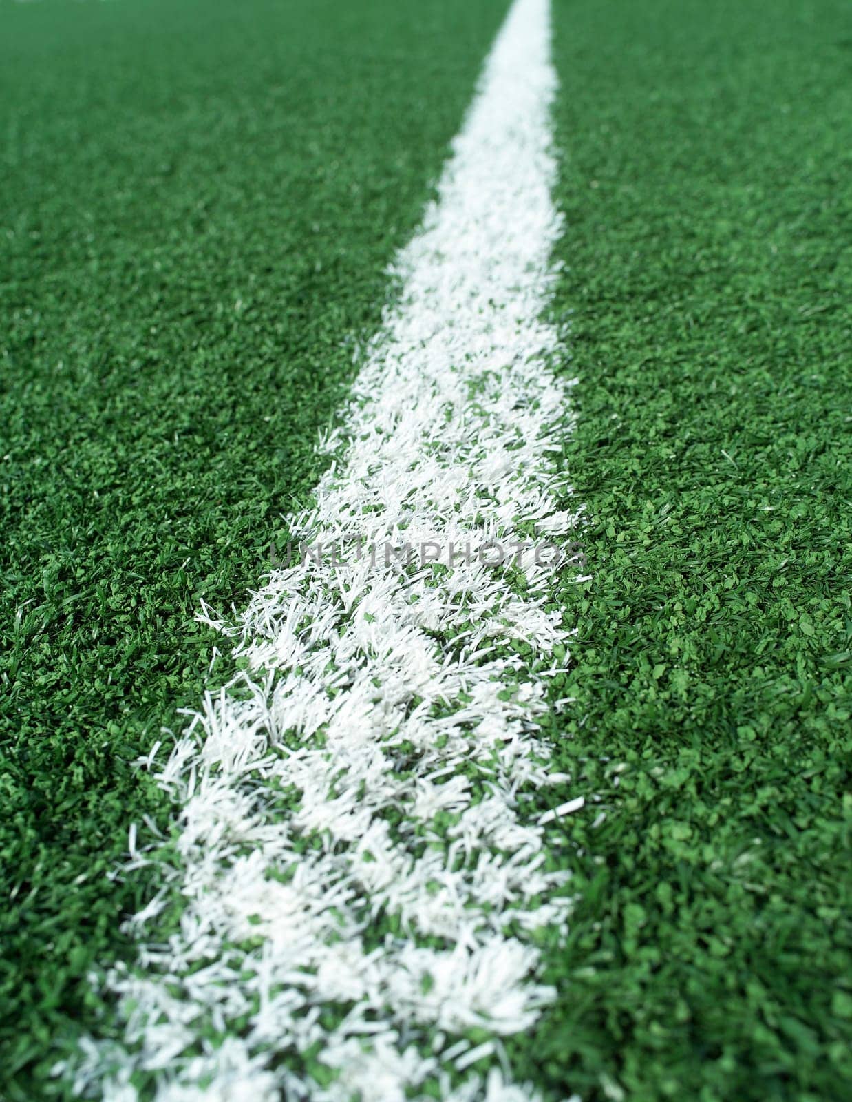 Detail on a Soccer Field