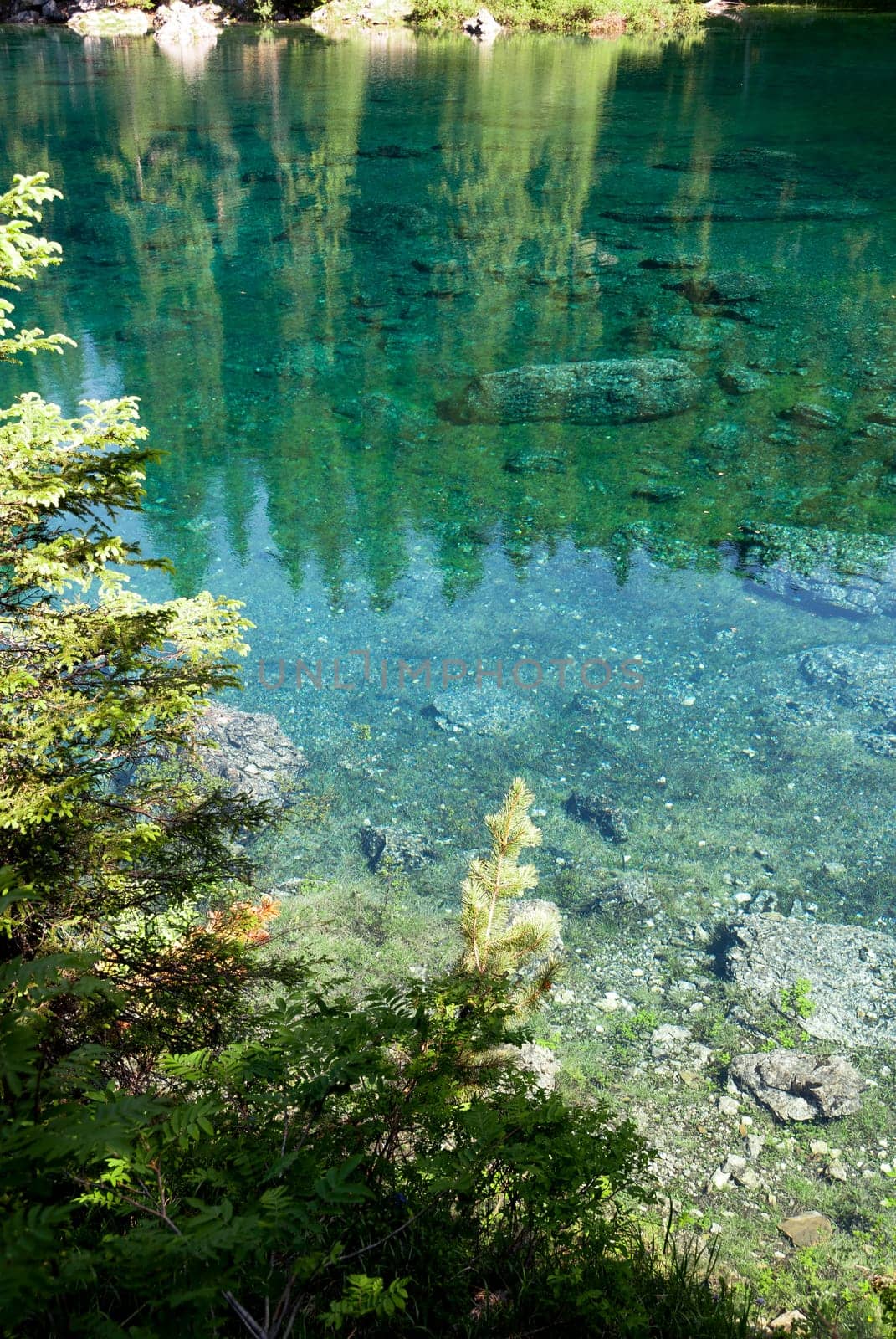 reflections on Carezza Lake  in Trentino Alto Adige in Italy