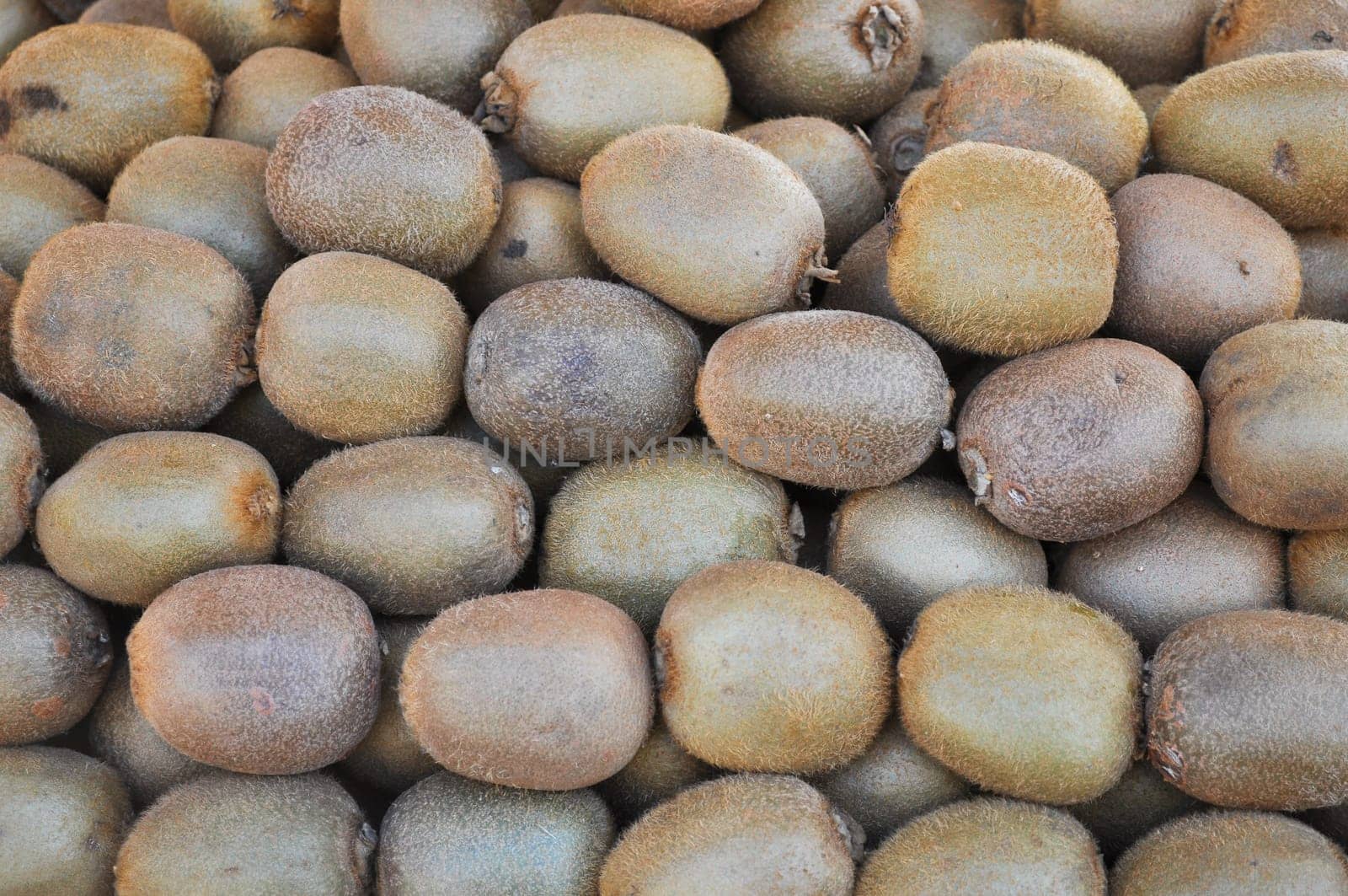 Kiwifruit aka kiwi, green edible berry fruit