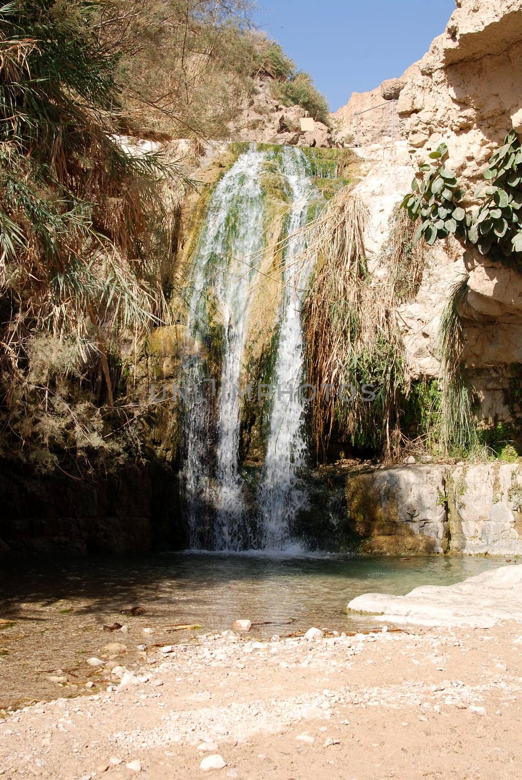 A Gedi-Nachal David