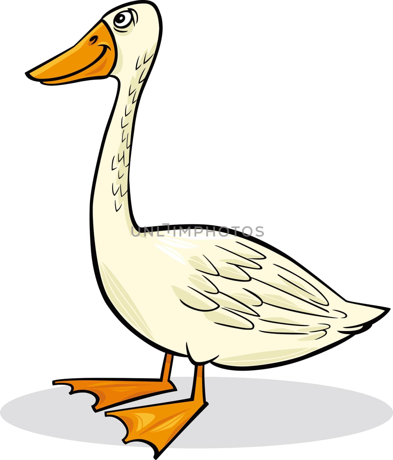 cartoon humorous illustration of funny farm goose