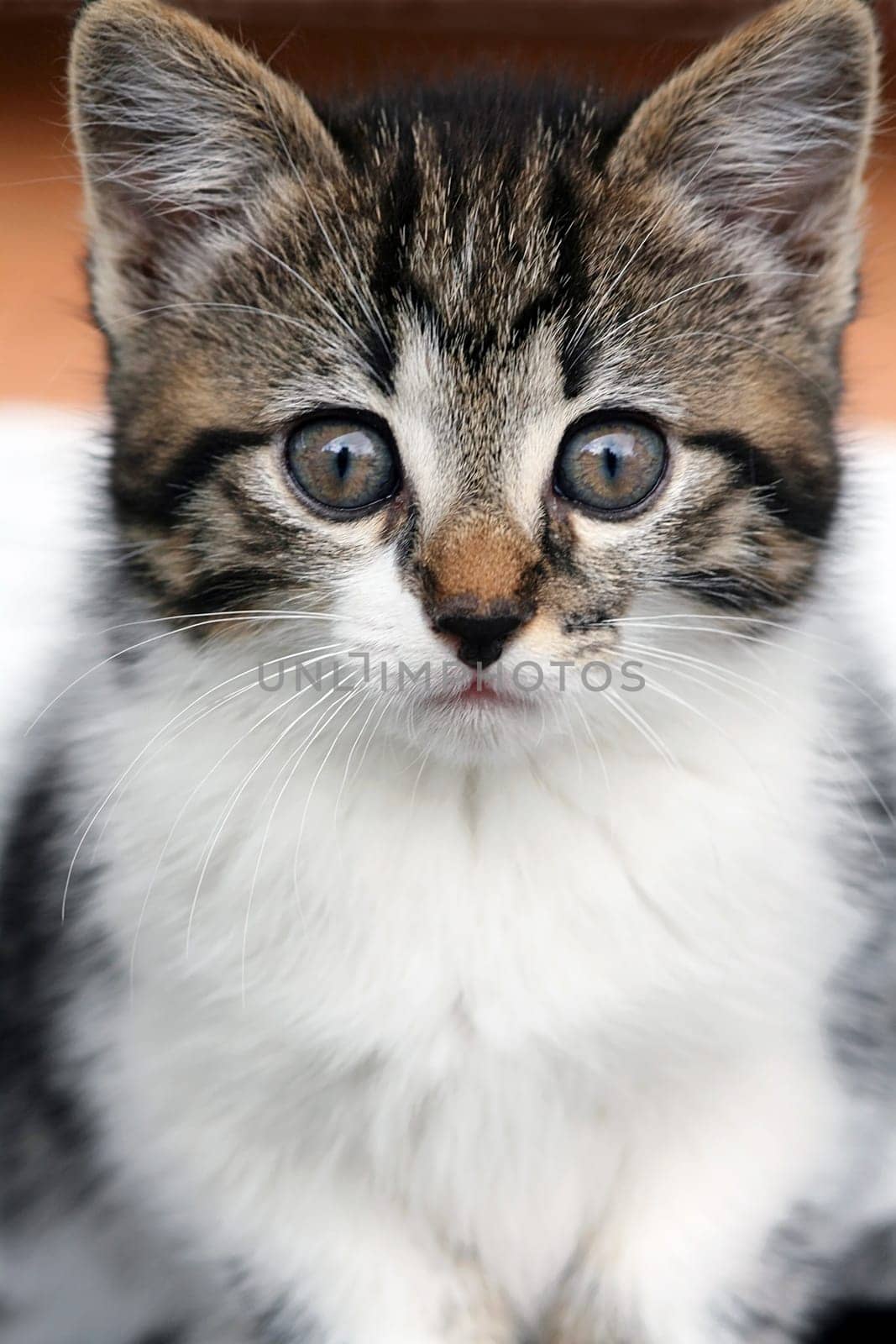 A curious look