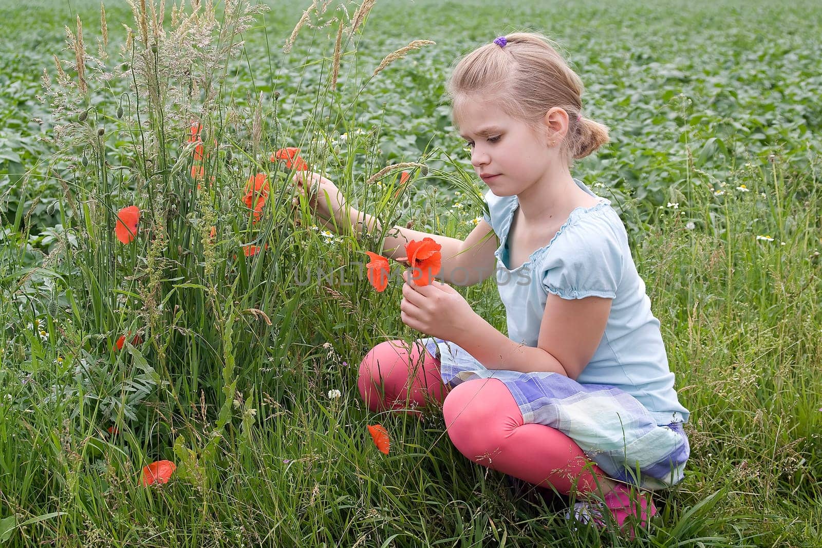 little girl on the meadow with flowers