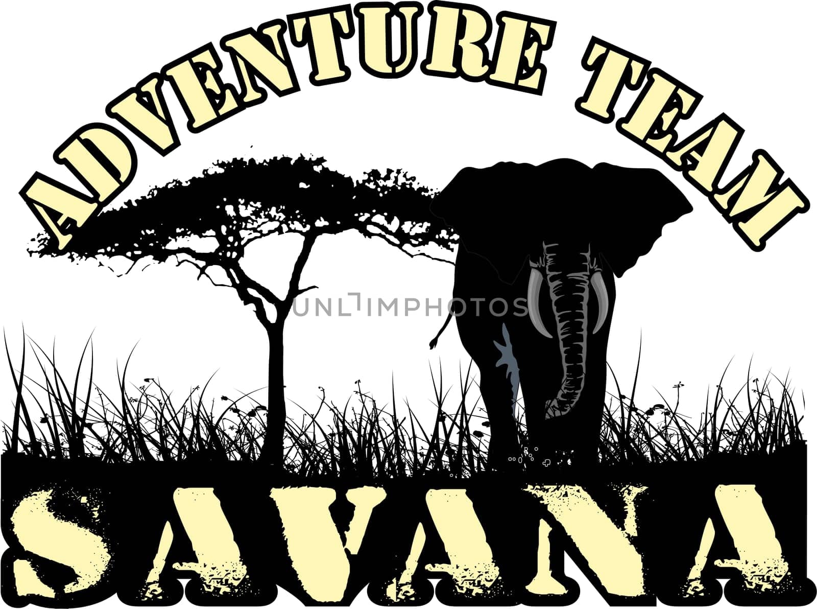 adventure team in africa in the savanna, a tree and an elephant grass