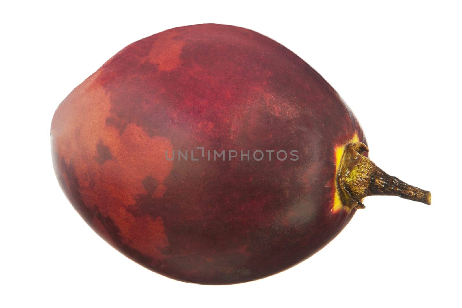 The Tamarillo, tropical fruit on white background
