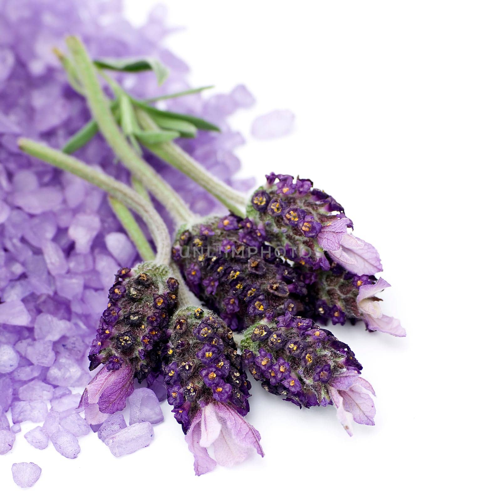 lavender bath salt