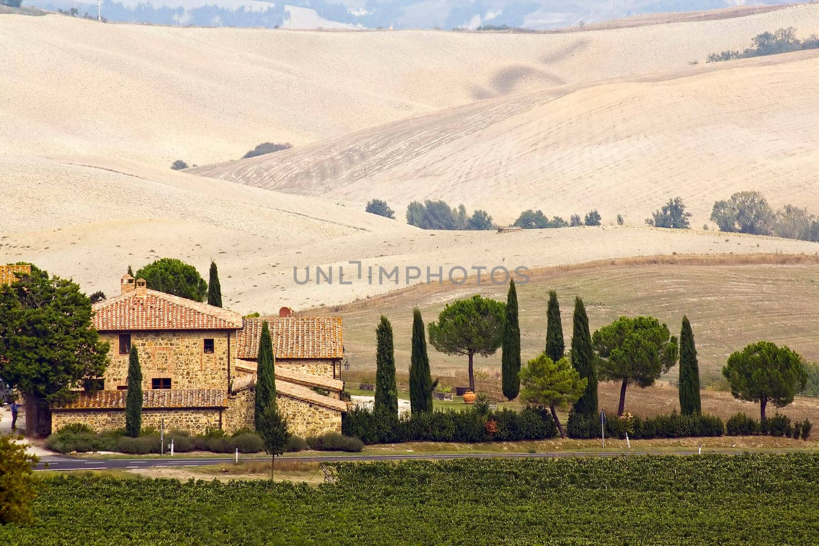 typical tuscan landscape