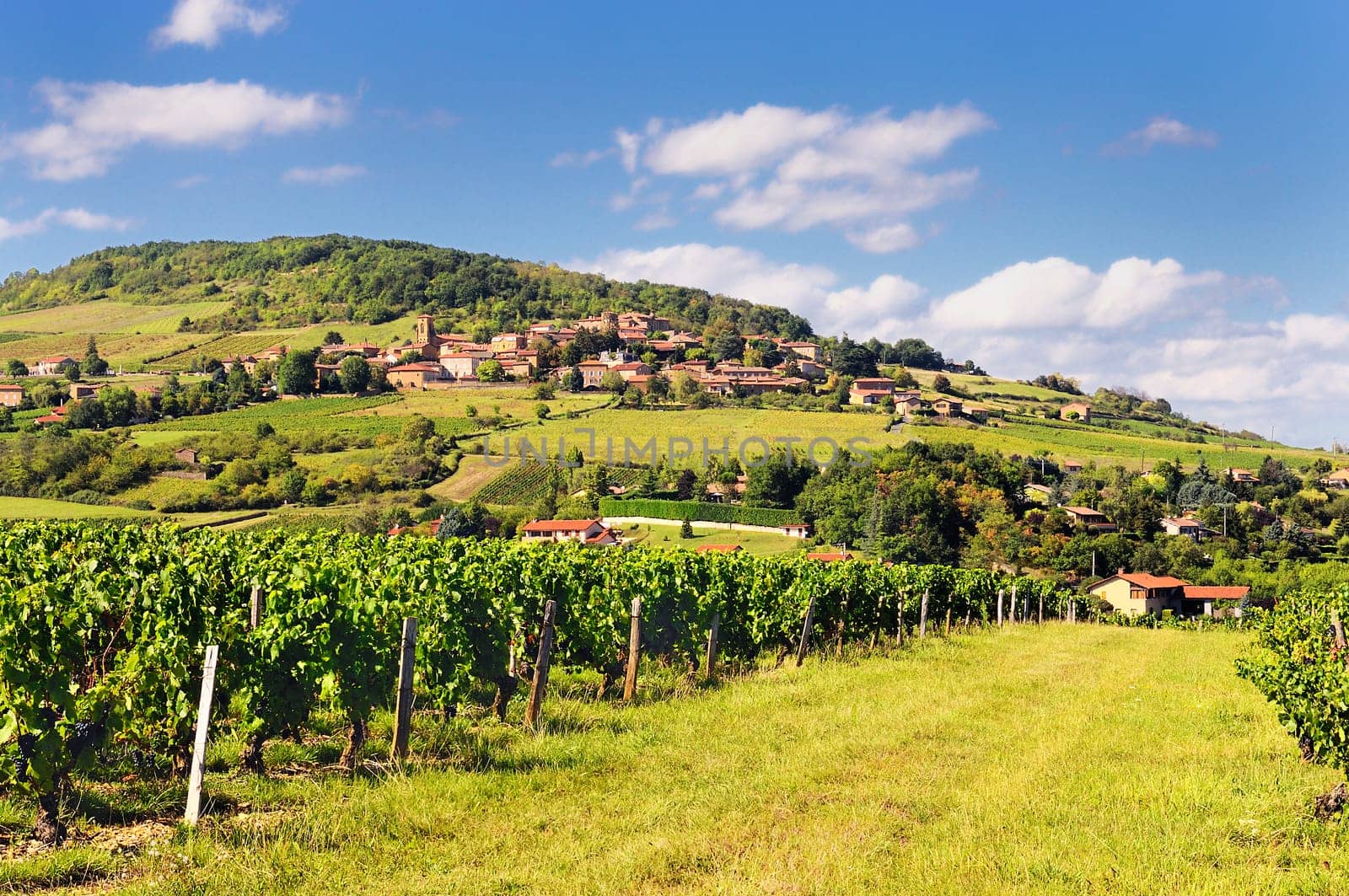 Medieval golden village called Theiz (Beaujolais / France)