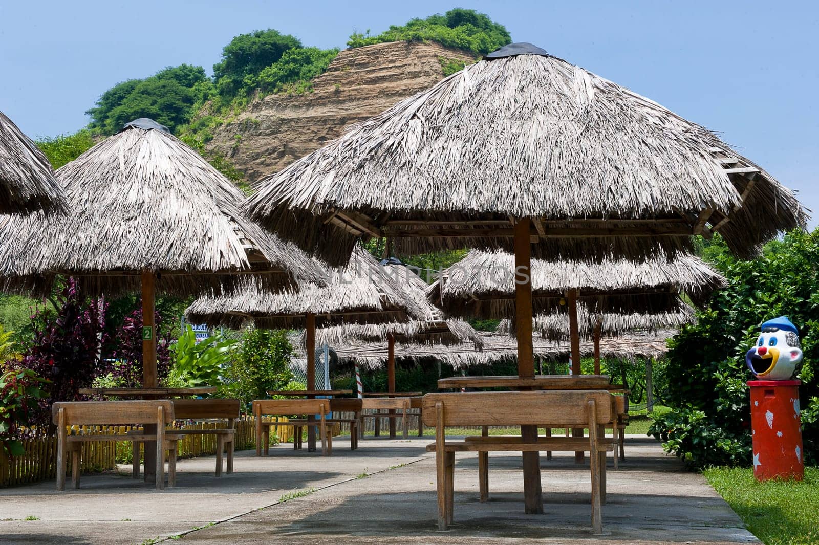 picnik tables and benches in a tropical park