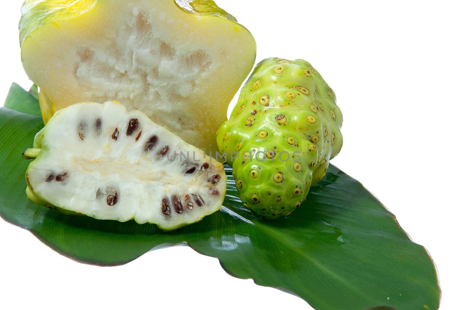 two noni fruit on white background