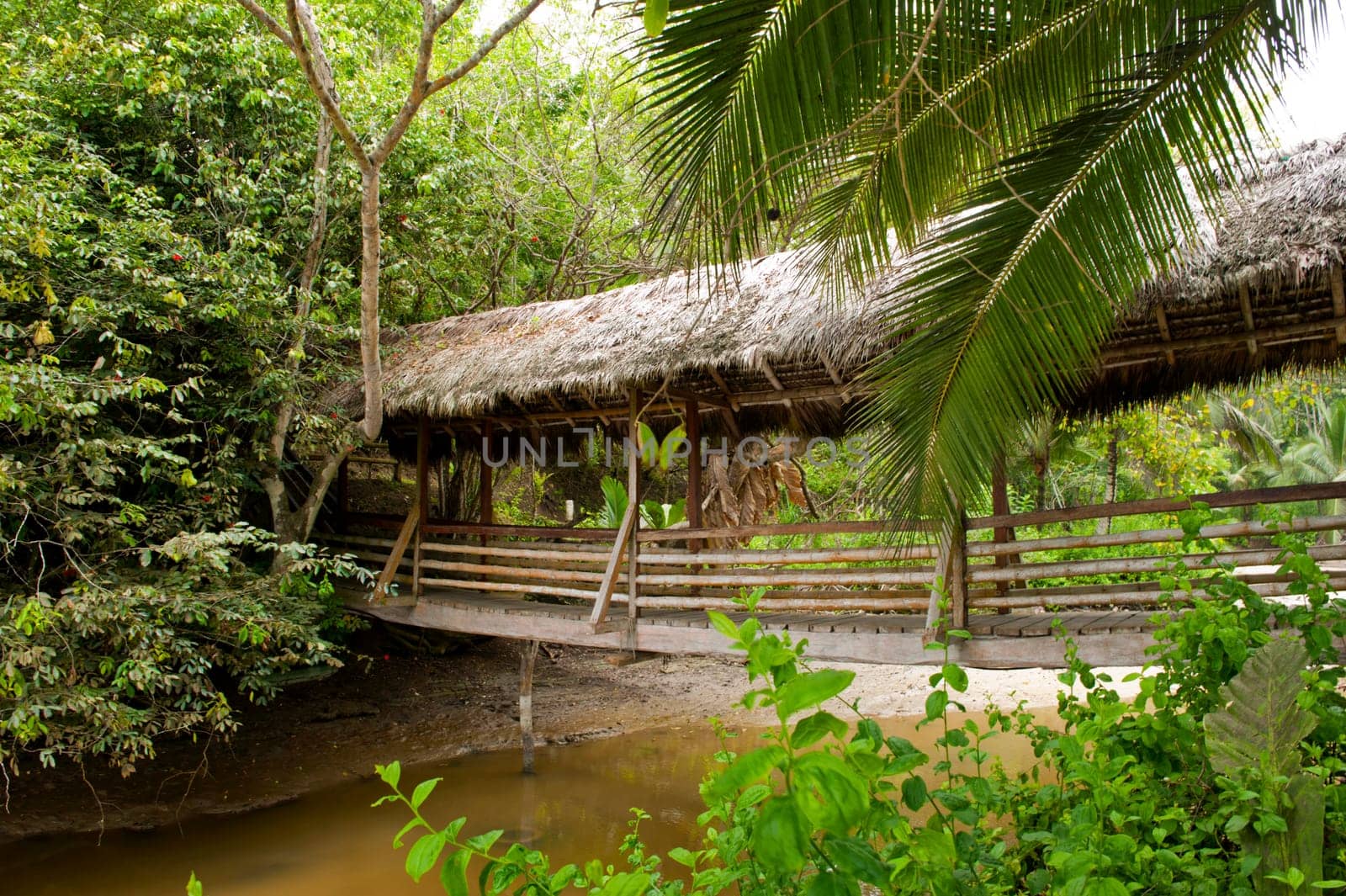 Wooden bridge with roof of straw on a river in Ecuador