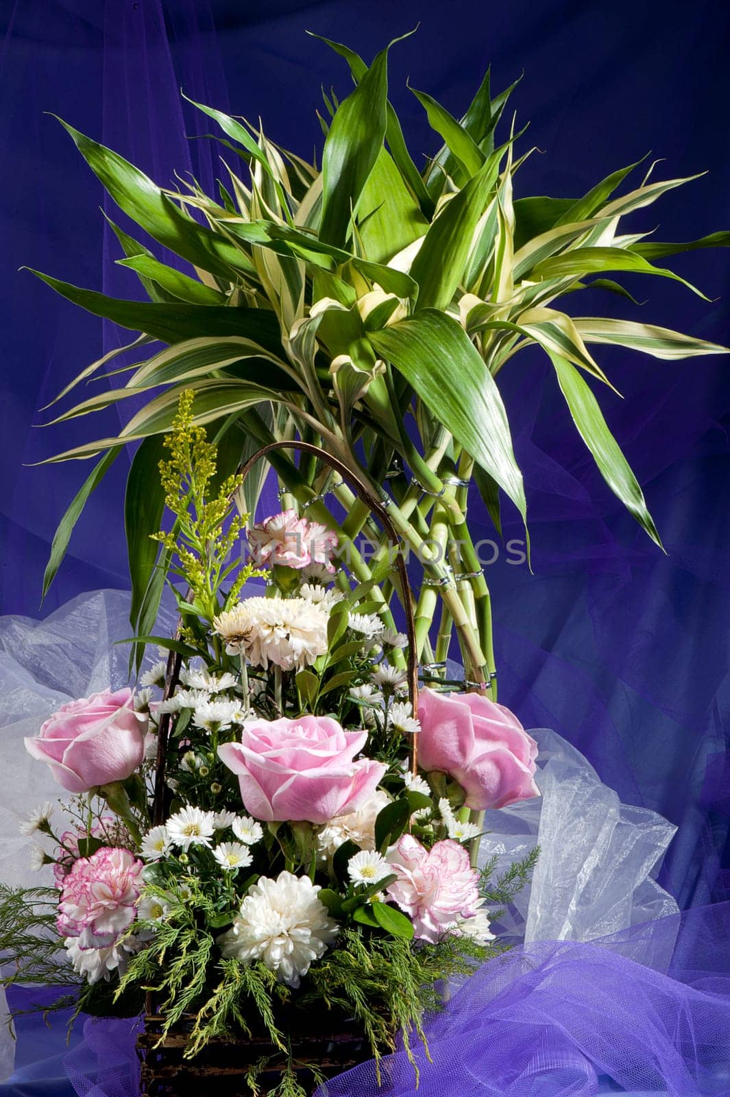 Composition of flowers on a white background