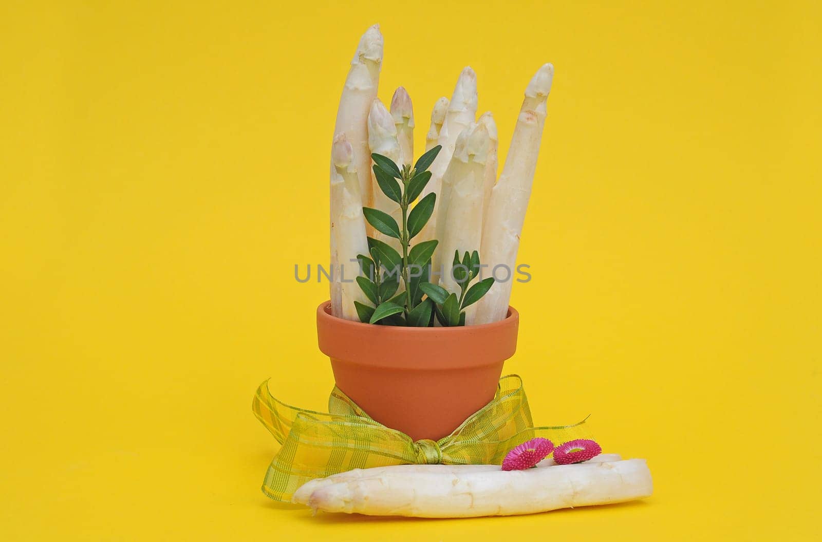 Asparagus