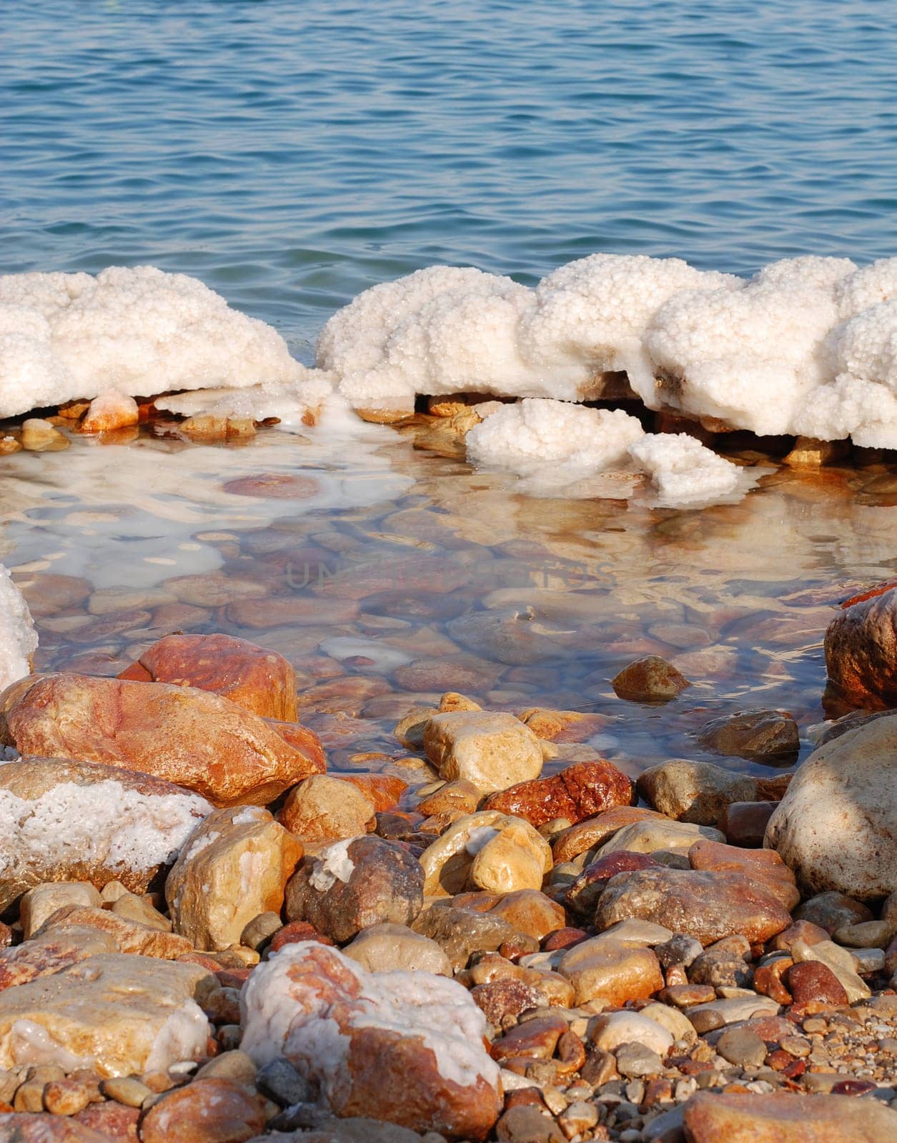 Ein Gedi