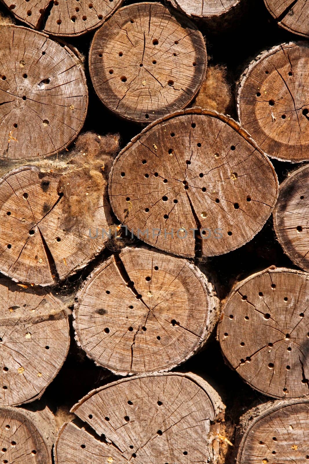 Nisthilfe für Wildbienen - Holes in the wood as nesting help for wild bees