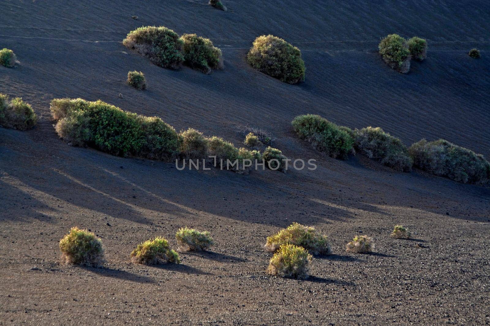 volcanic landscape in national park Timanfaya in Lanzarote, Spain