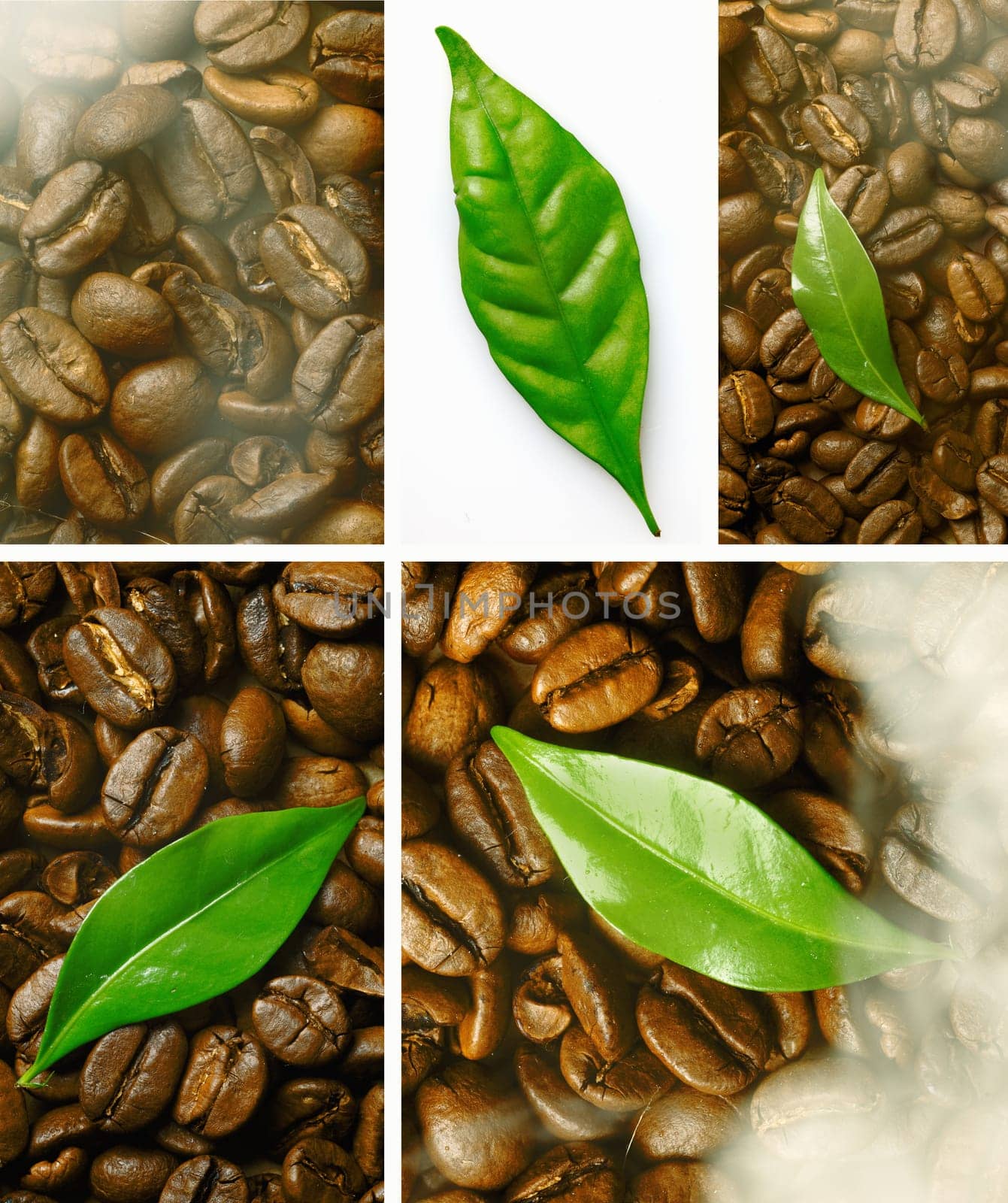 Montage of closeup images of freshly roasted coffee beans with a green leaf detail
