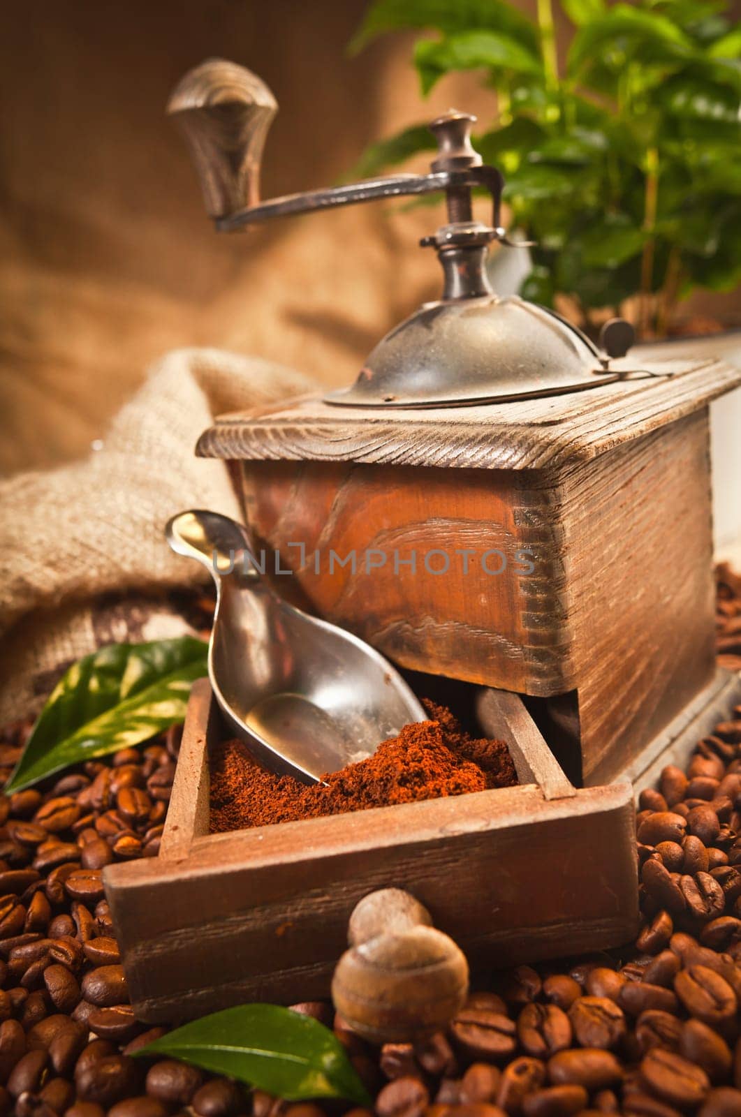 Coffee Grinder with beans and leaves of coffee on a brown background