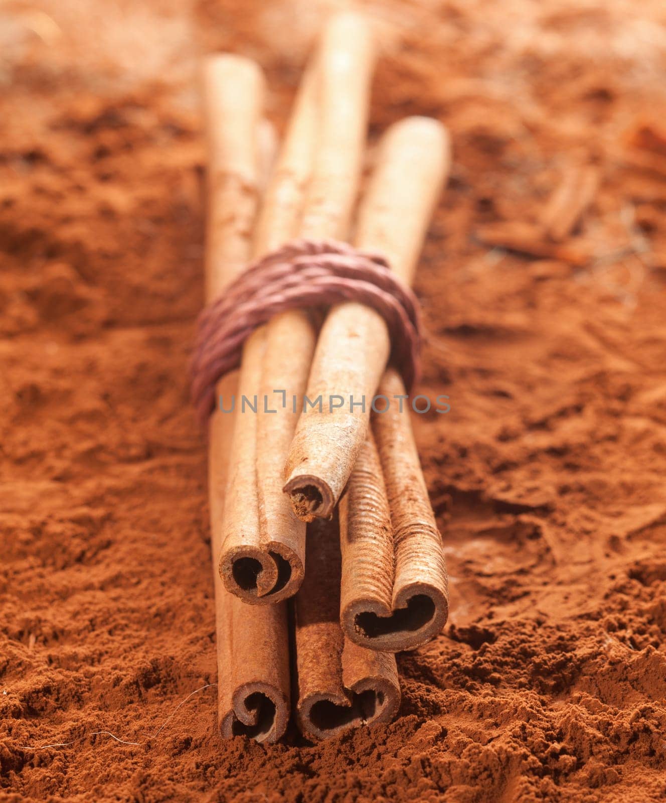 Long cinnamon on a brown cacao background