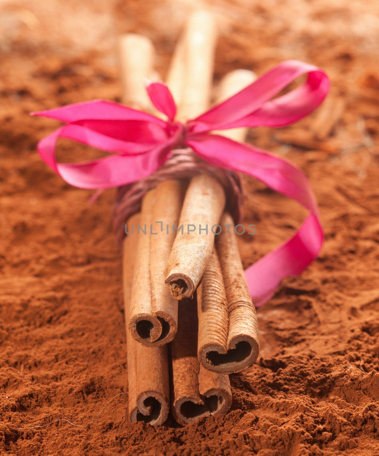 Long cinnamon with a pink ribbon on a brown cacao background