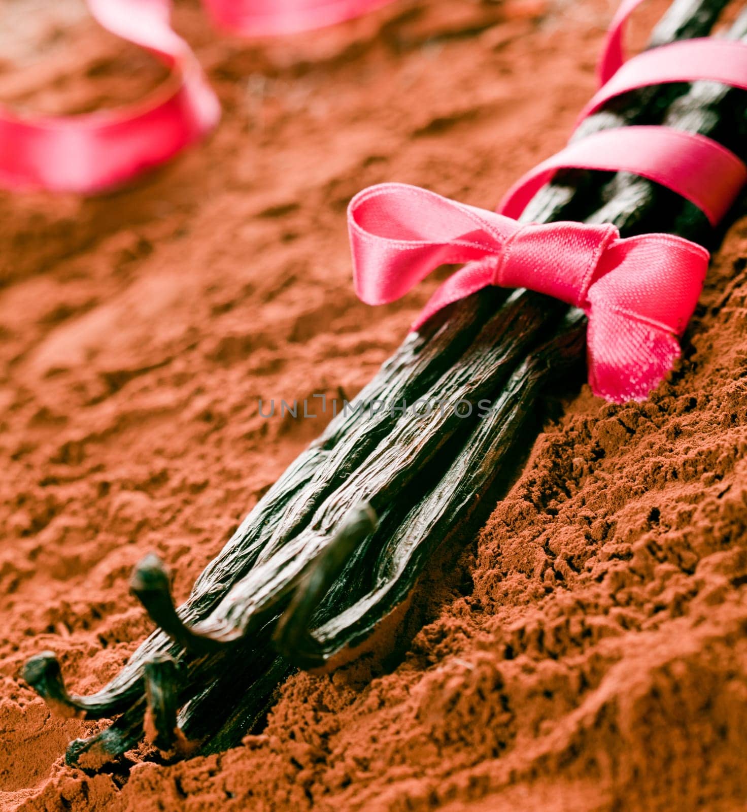 Bunch of Vanilla with a pink ribbon an powdered cocoa