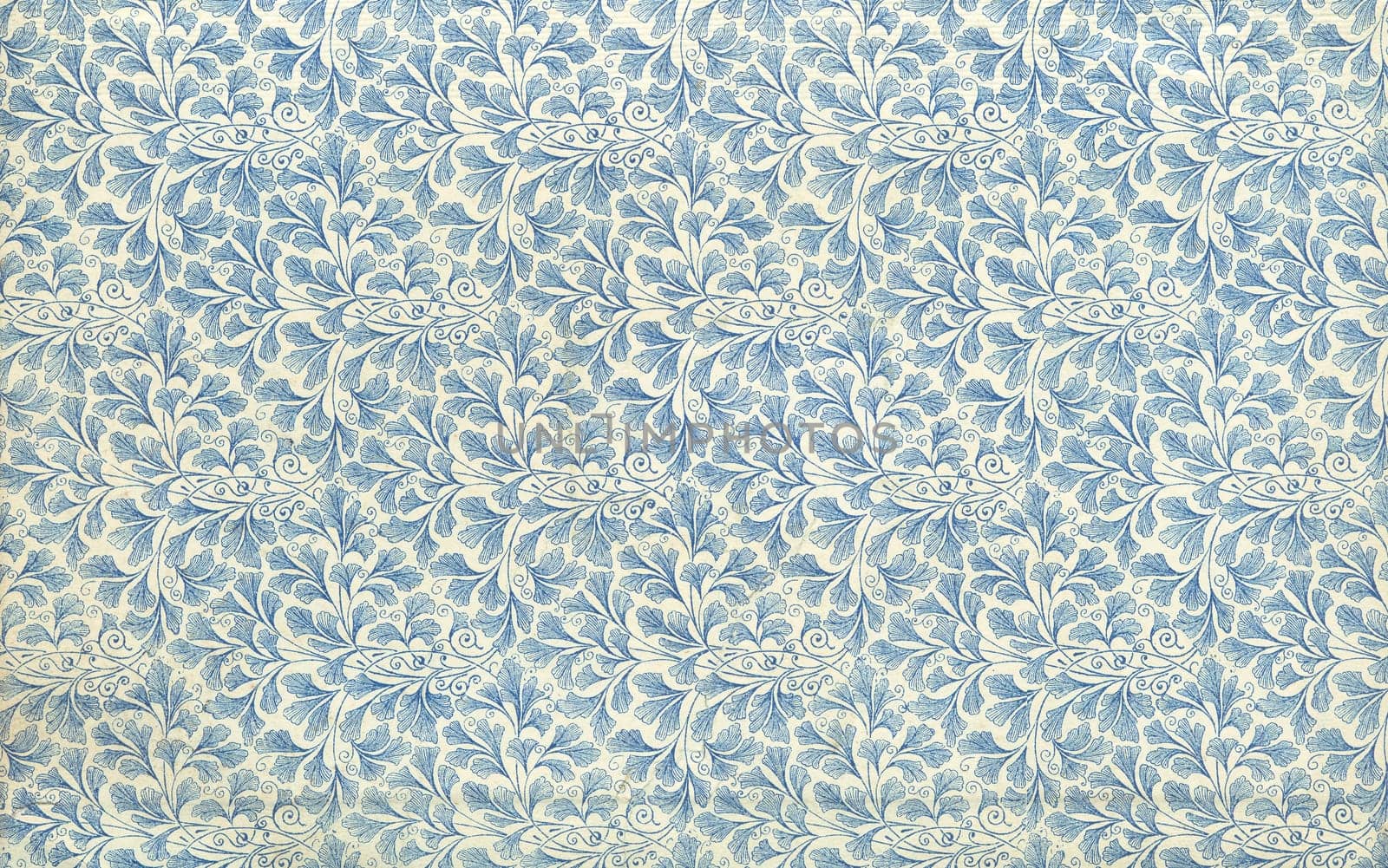 Endpaper leaf floral pattern background, vintage illustration. Sourced from antique book "The Playtime Naturalist"" by Dr. J.E. Taylor, published in London UK, 1889."