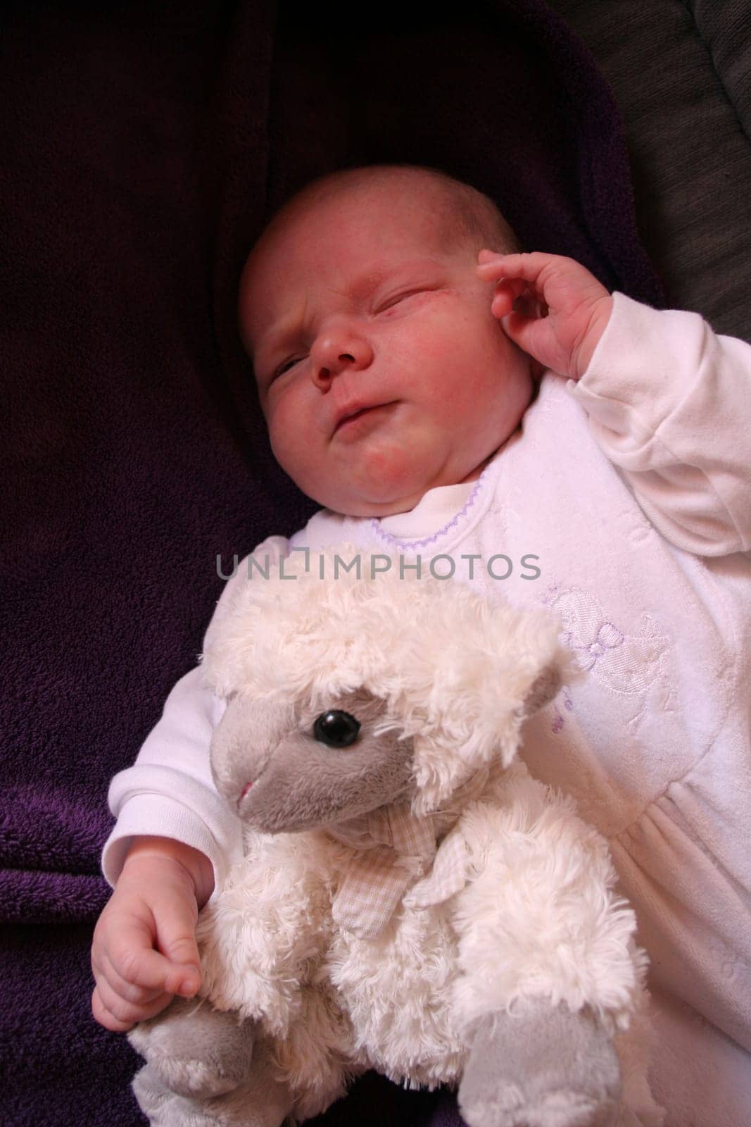 Counting sheep