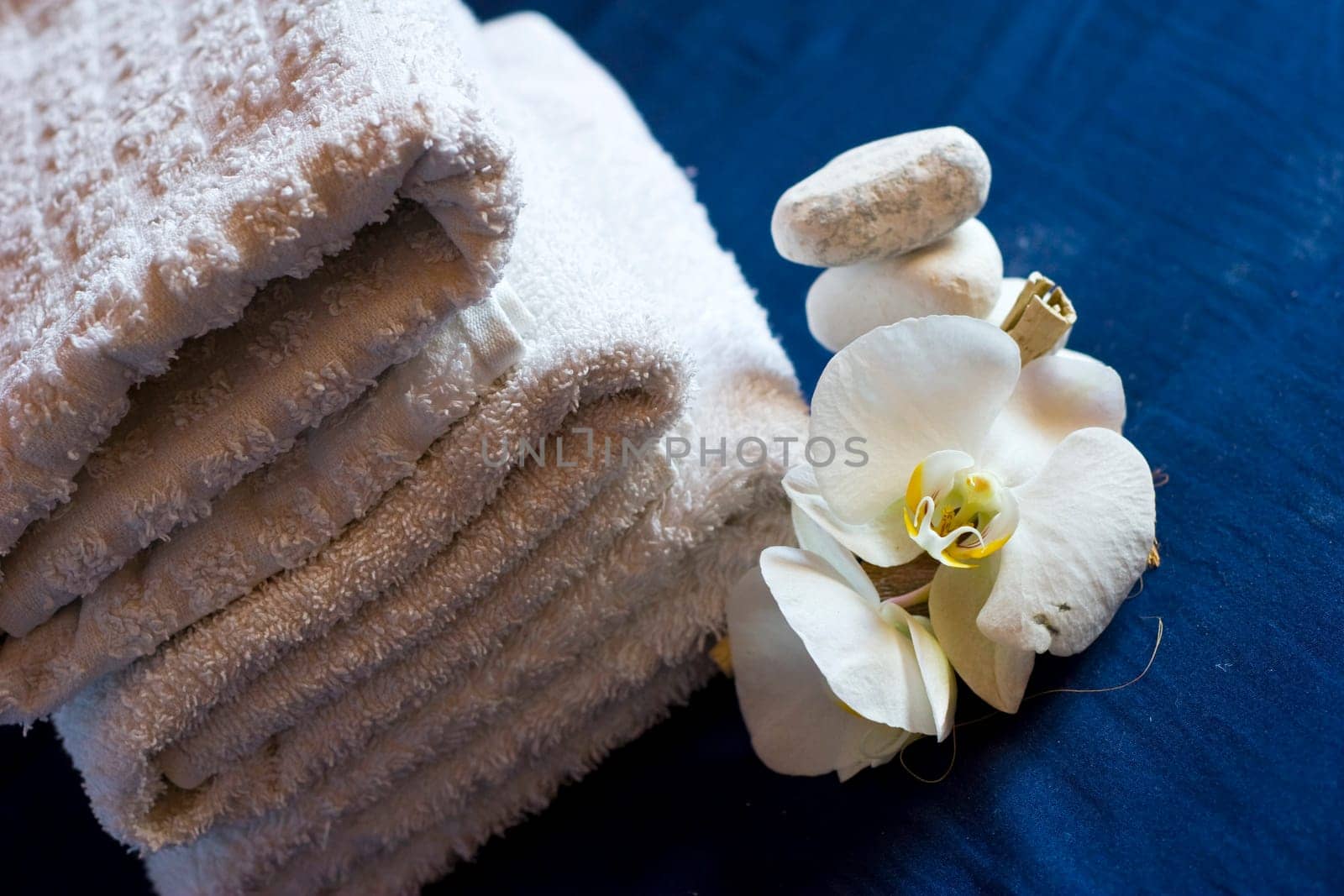 Towel Wellness