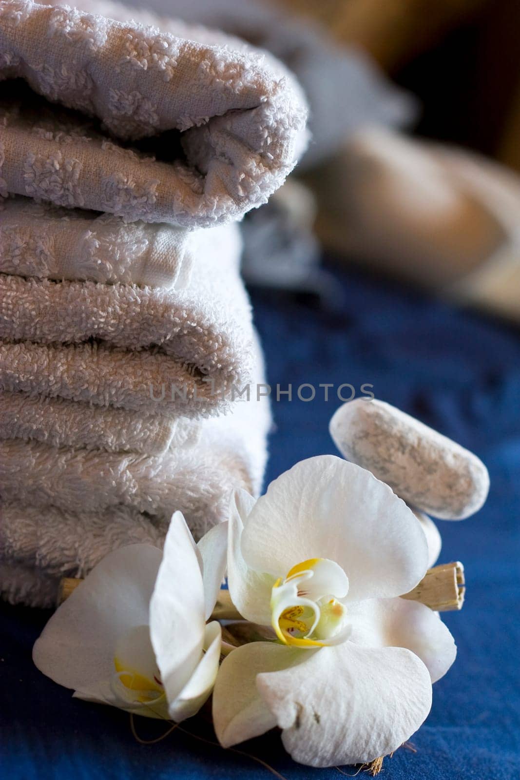 Towel Wellness