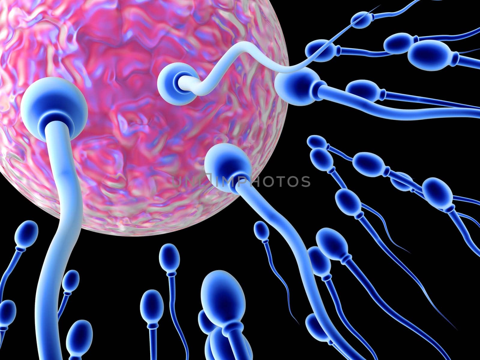 Sperm Cells on their way to the egg. High resolution 3D render.