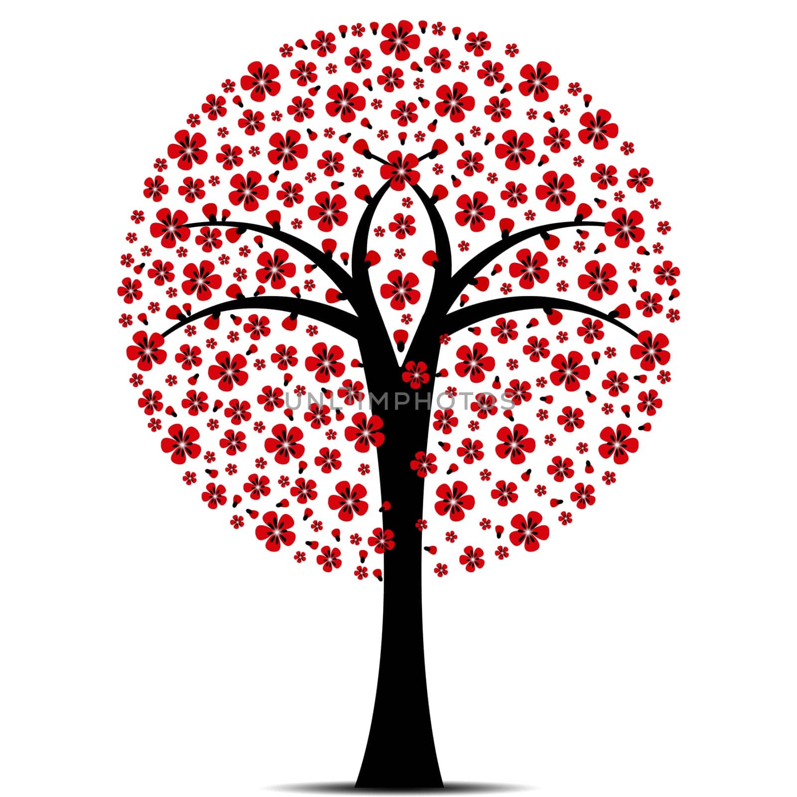 Beautiful blossom tree isolated on white