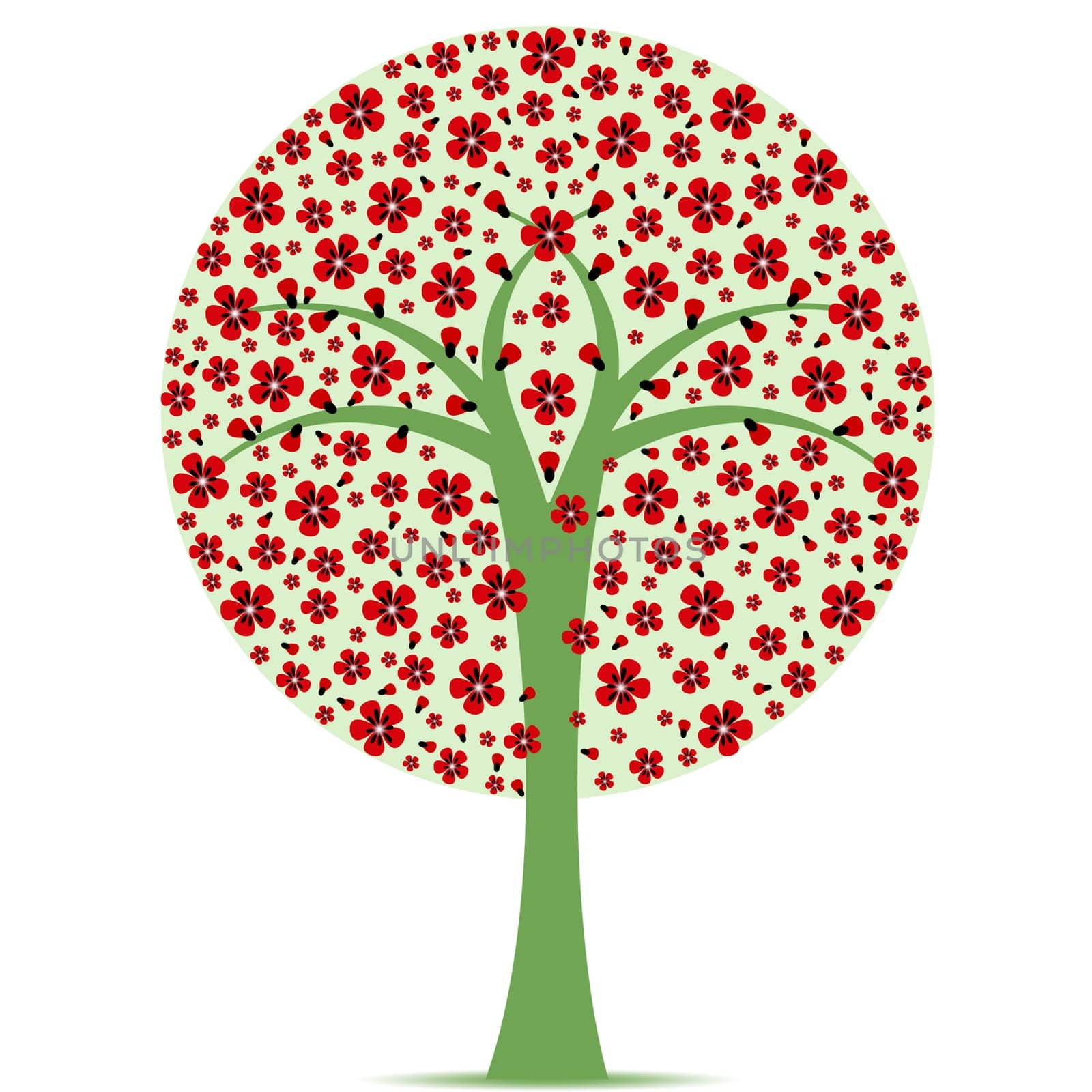 Beautiful blossom tree isolated on white