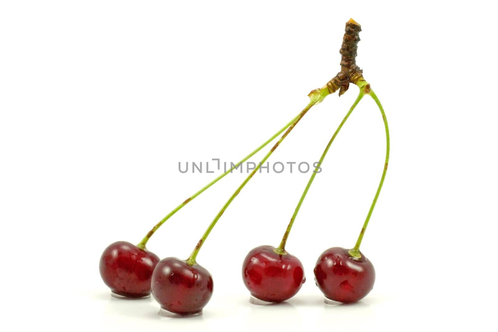 dark red cherries isolated on a white background