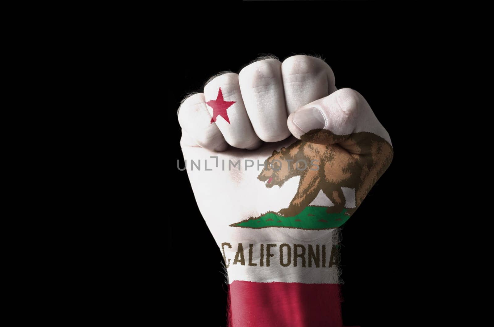 Low key picture of a fist painted in colors of american state flag of wyoming