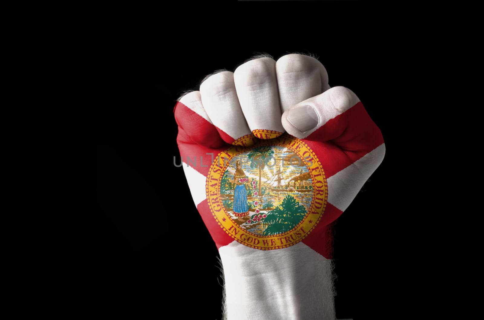Low key picture of a fist painted in colors of american state flag of florida