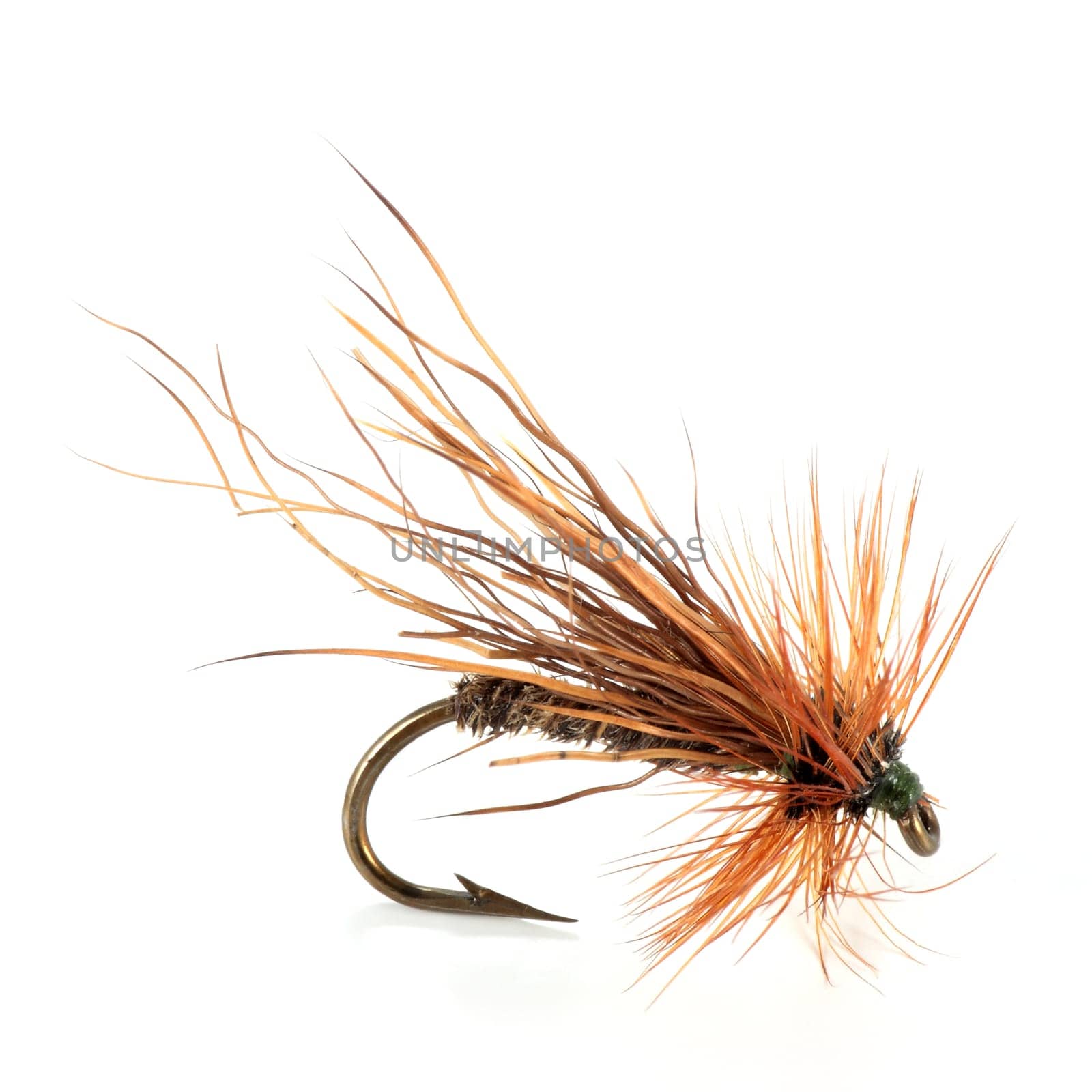 hair dry fly hook and pen for fishing on white background