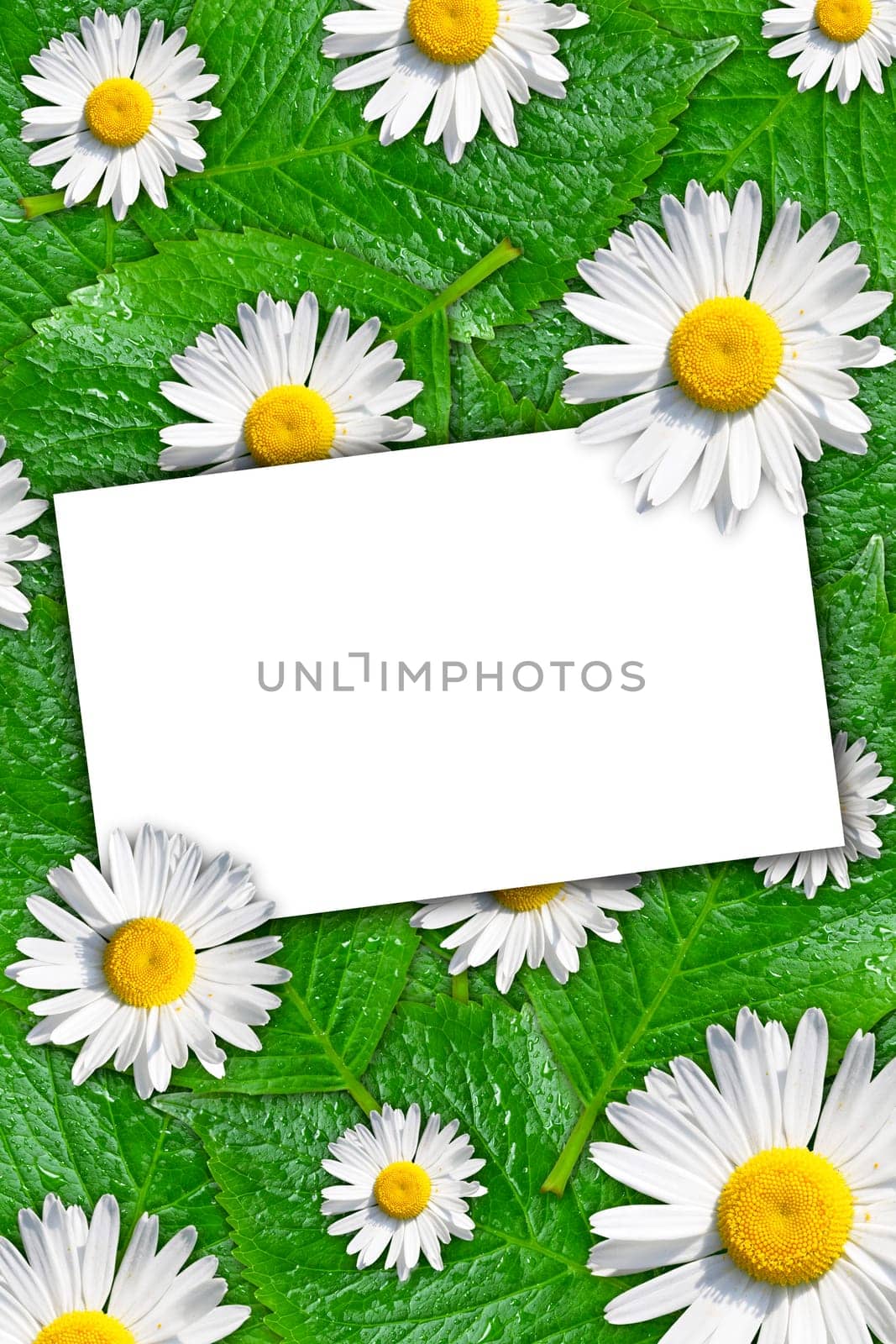 floral background with white blank card for text