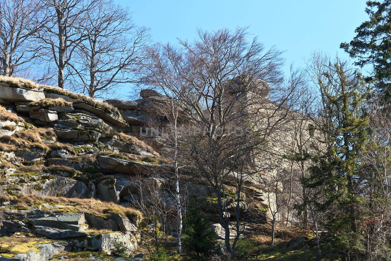 Epprechtstein Castle Ruins