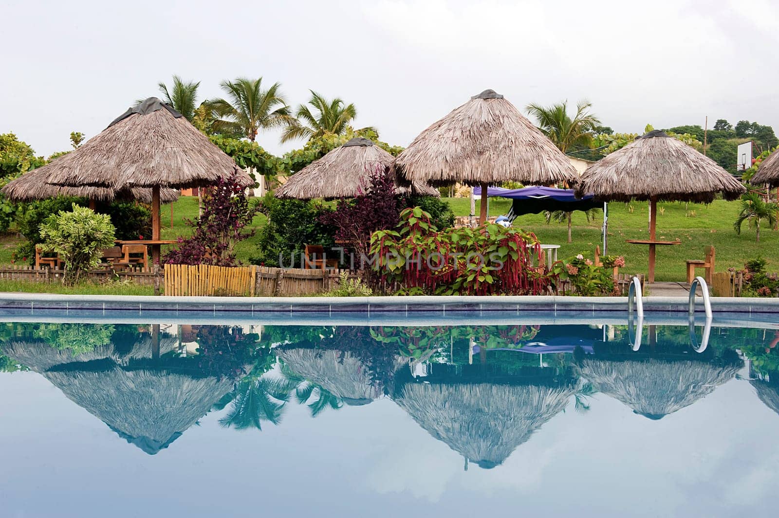 Pool in a tropical park in Ecuador