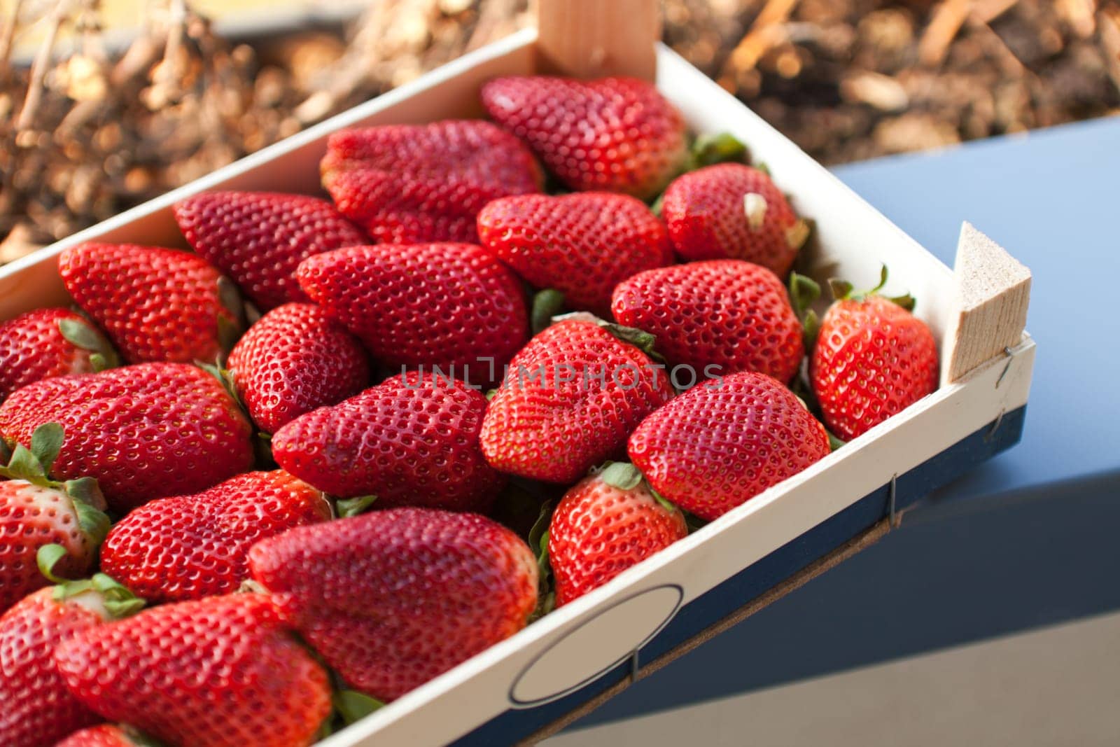 Fresh strawberries in the fruit box
