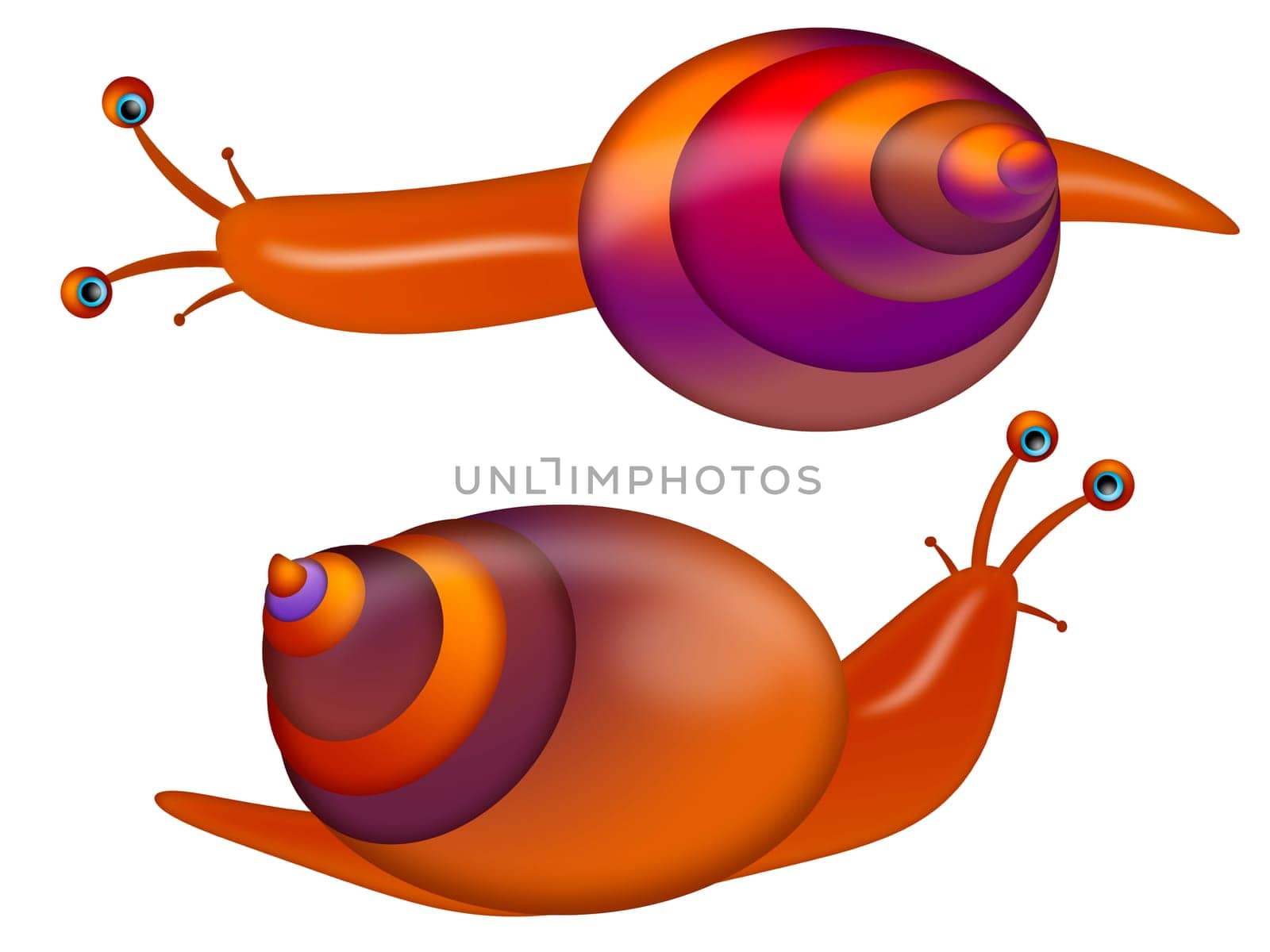 Garden Colorful Rainbow Colors Snail Isolated on White Background Illustration