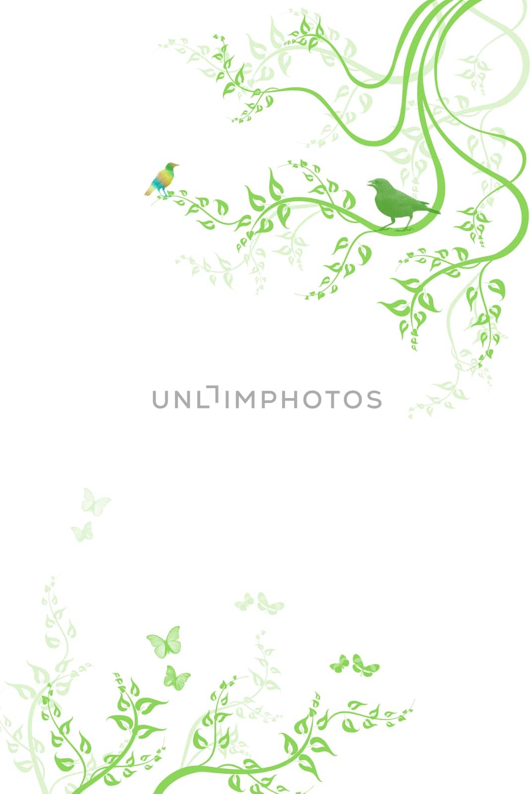 Beautiful spring floral with birds and butterfly