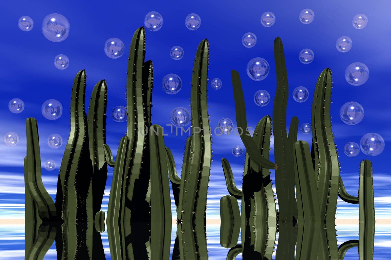 Cacti