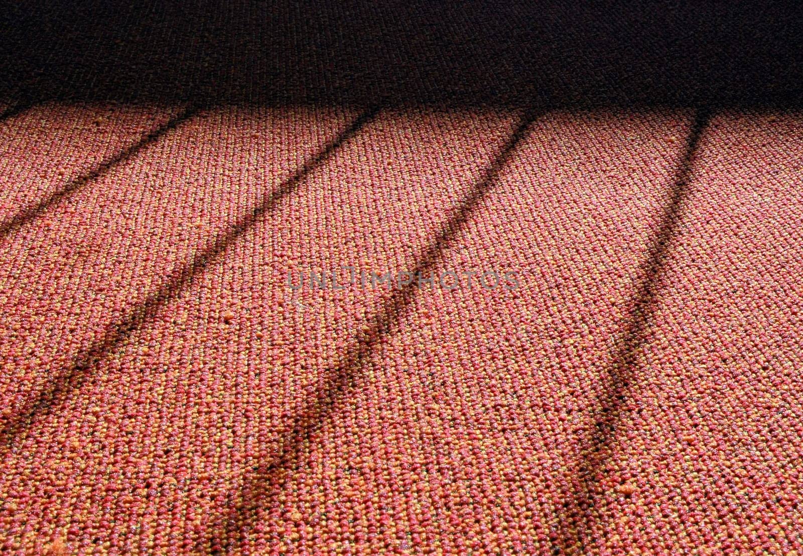 Shadow