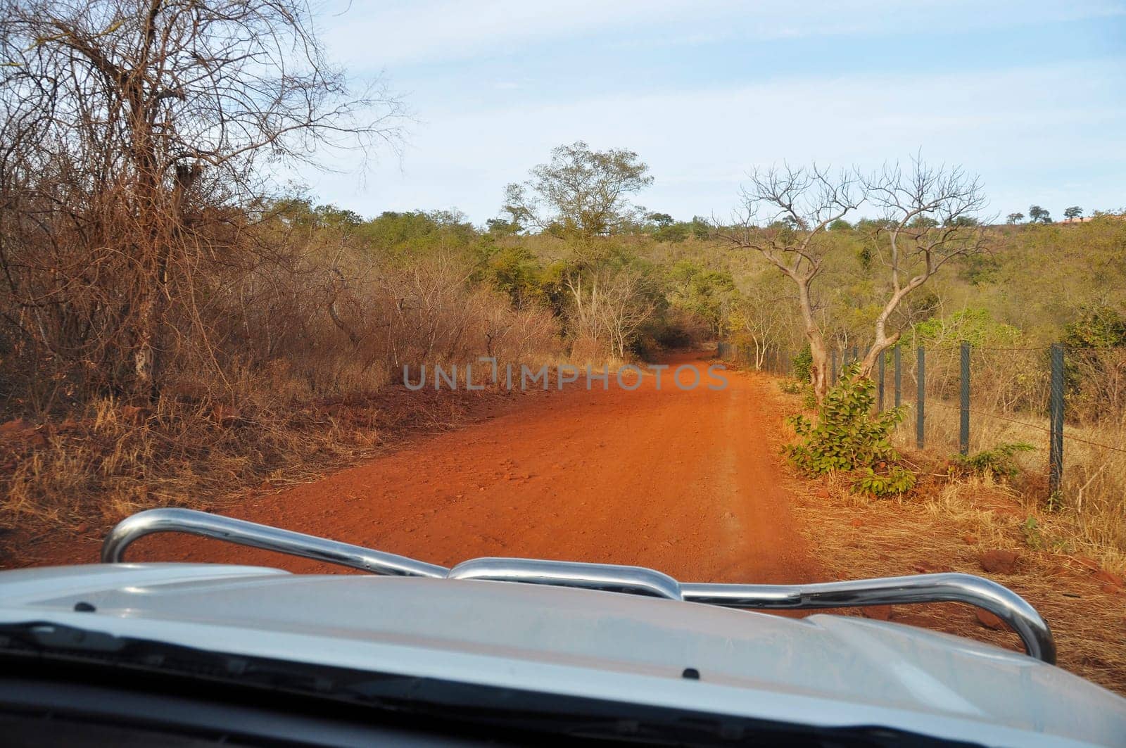 Driving a 4x4 on a laterite trail in Africa