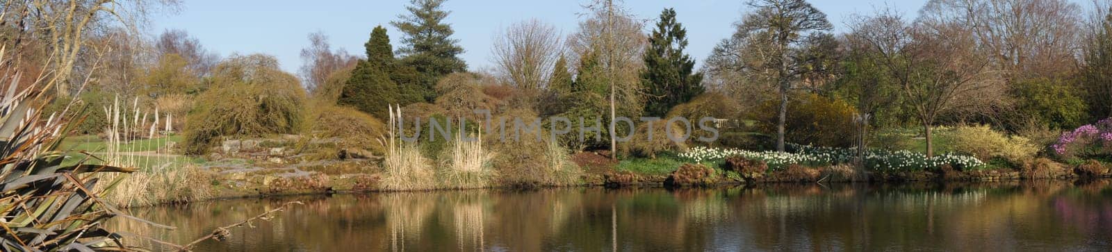 A Lake in Early Spring