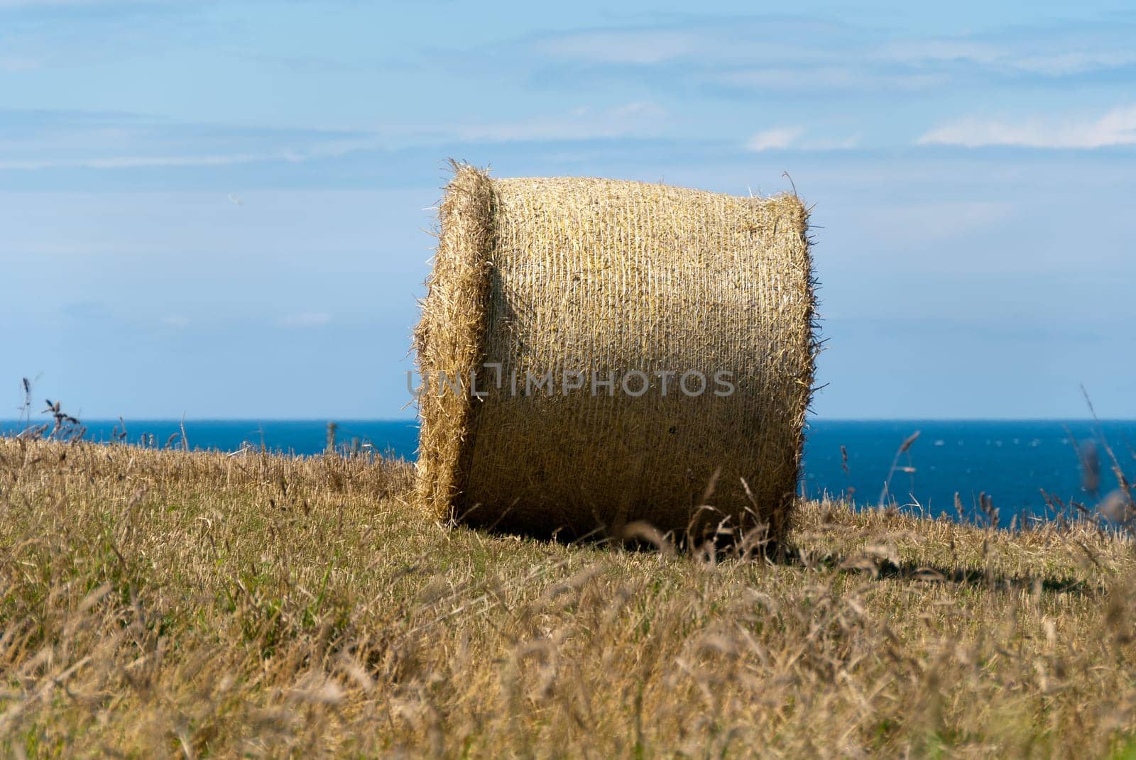 bale of hay in Cornwall with sea in background