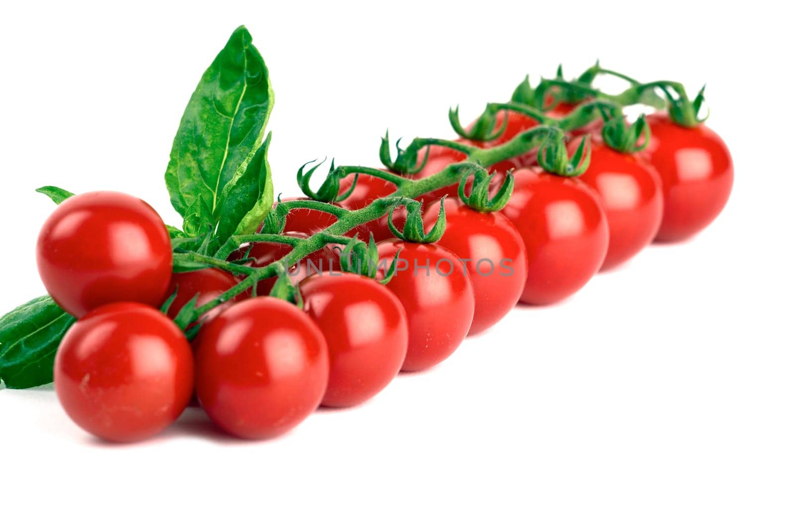 Cherry tomatoes with basil isolated against white background