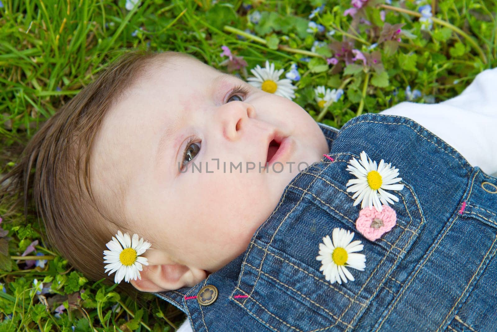 baby on green grass with daisy