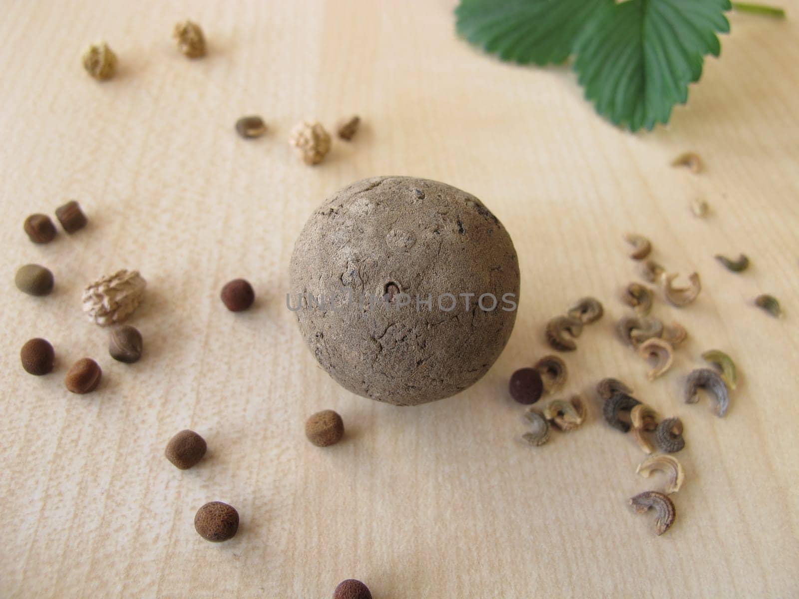 Seed ball